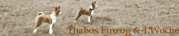 Thabos Einzug & 1.Woche