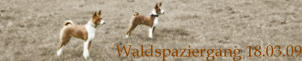 Waldspaziergang 18.03.09