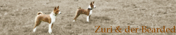 Zuri & der Bearded