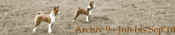 Archiv 9 - Juli bis Sep'10